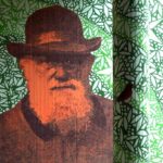 Monte Sant’Angelo foto murales Darwin